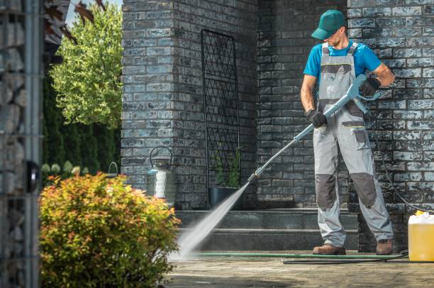 Best Fence Cleaning  in Fruitland Park, FL